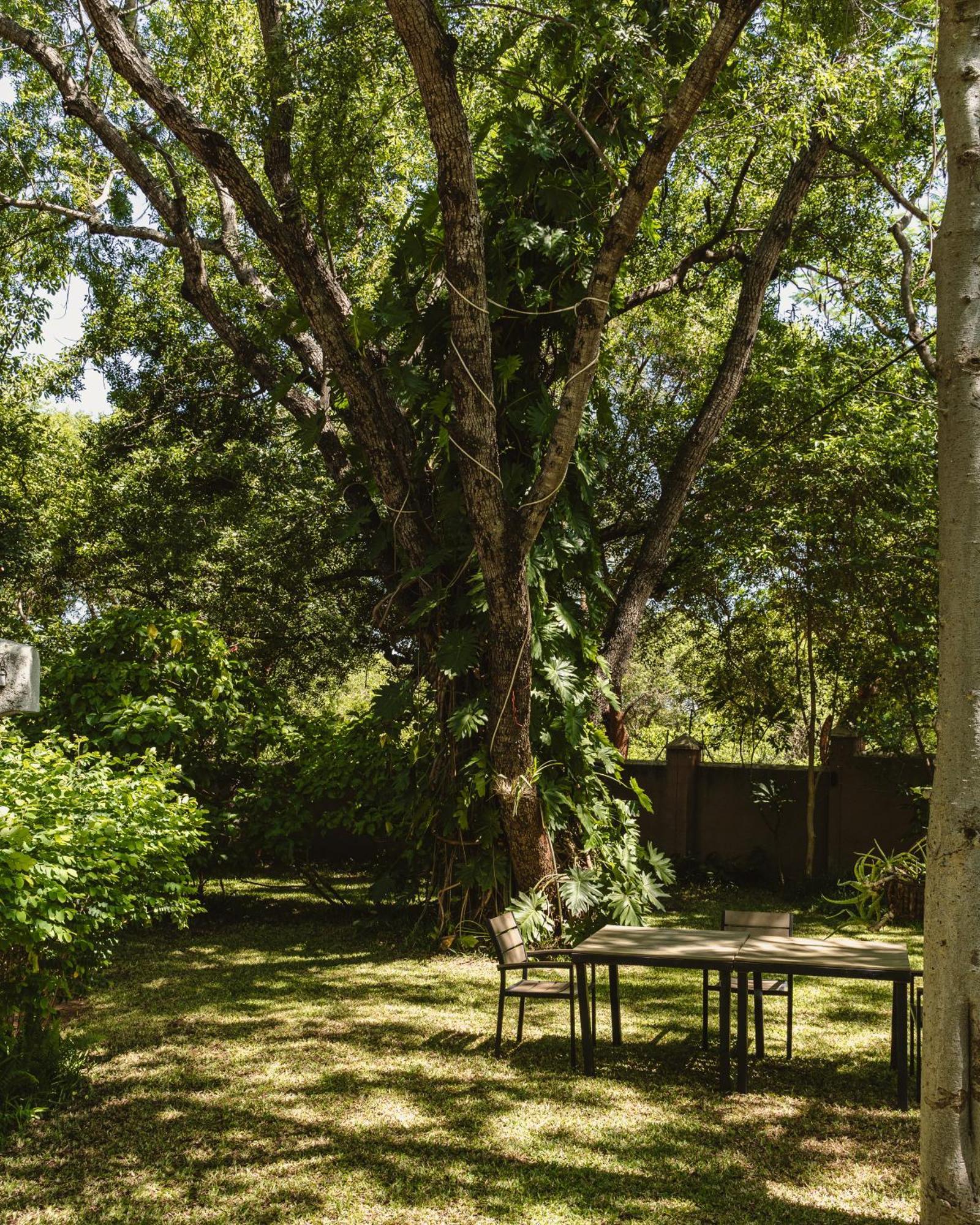 شلالات فيكتوريا Jacaranda Lodge المظهر الخارجي الصورة