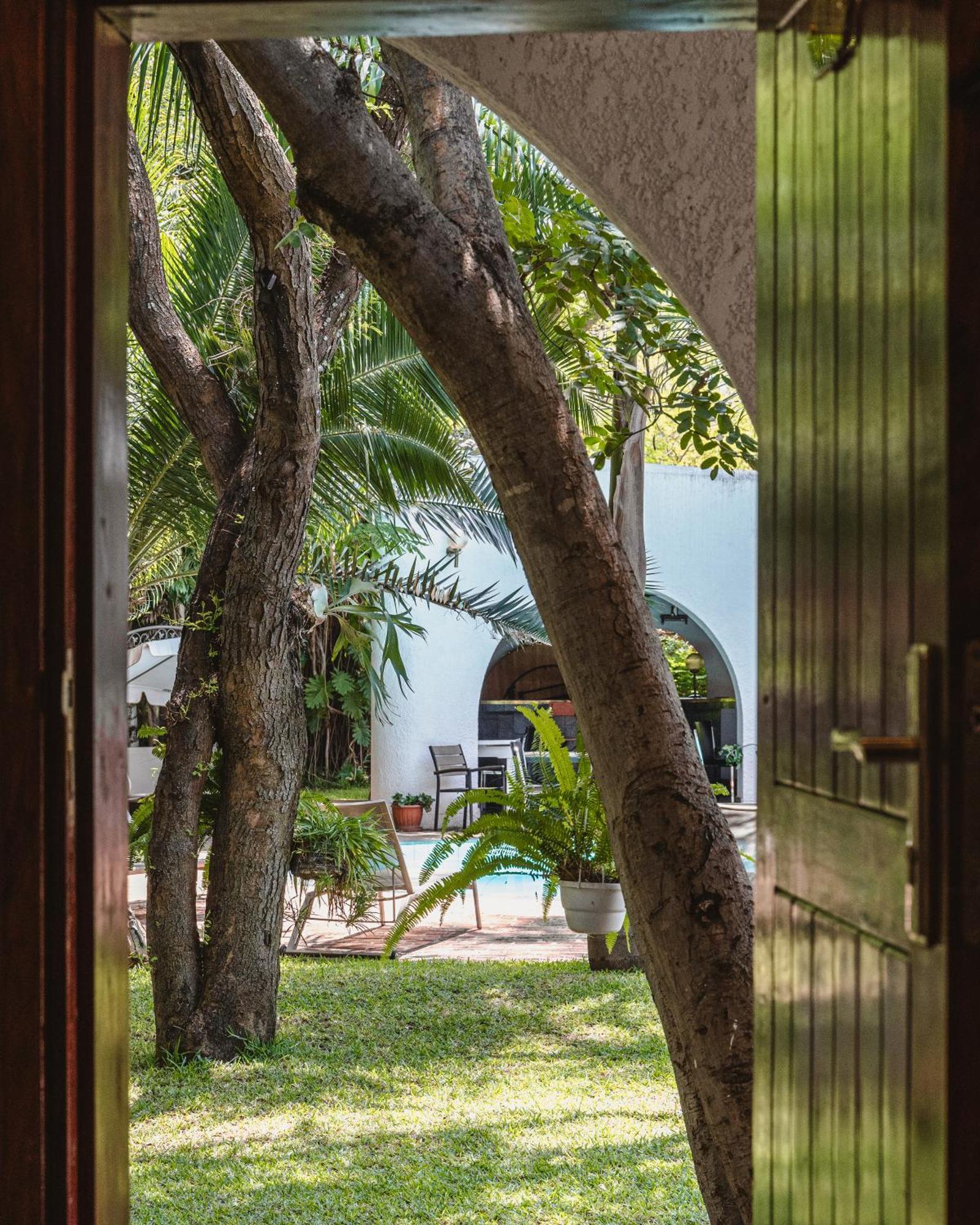 شلالات فيكتوريا Jacaranda Lodge المظهر الخارجي الصورة