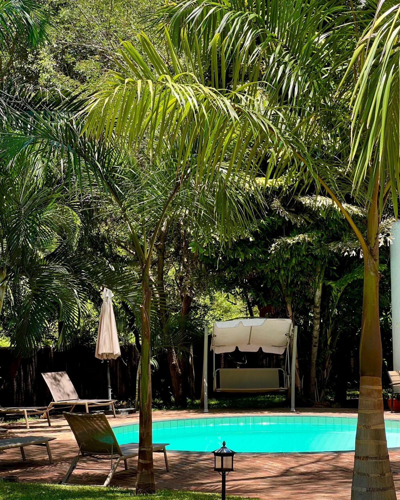 شلالات فيكتوريا Jacaranda Lodge المظهر الخارجي الصورة